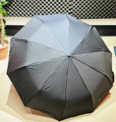 Premium 10-Ribs Automatic Folding Umbrella With Hanger Handle